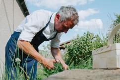 Der Koch im Kräutergarten